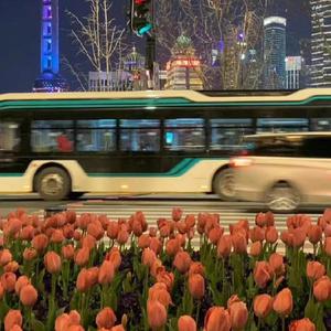 www3hh555在线观看👀
