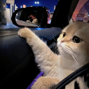 www3hh555在线观看👀
